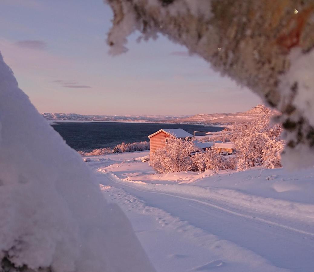 Nesseby Guesthouse Varangerbotn Екстериор снимка